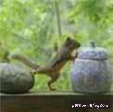 吴雅